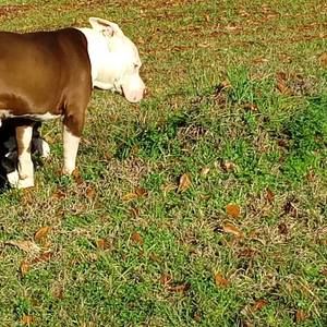 Meet your Posher, Andre